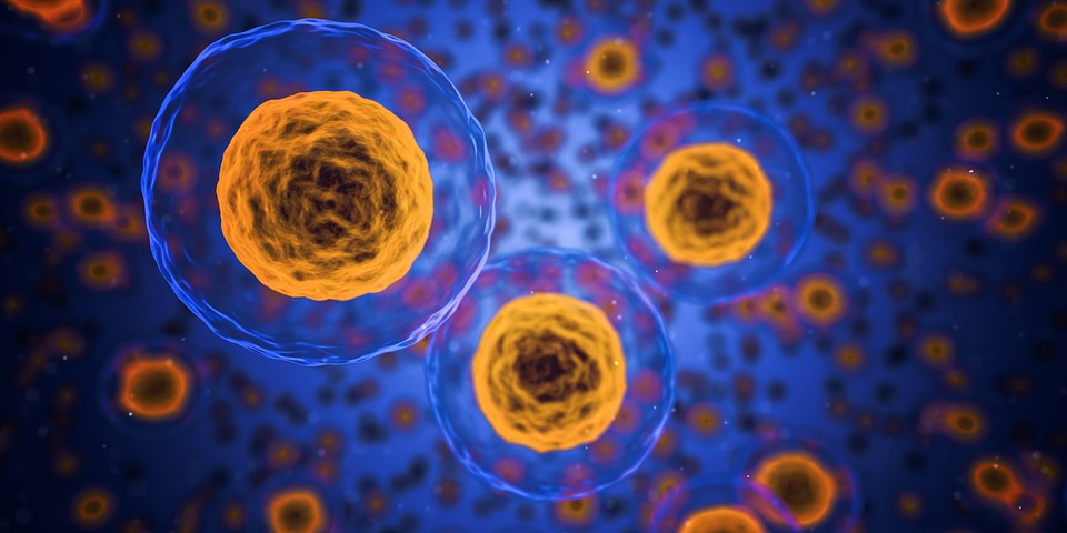 Modified Citrus Pectin MCP for fighting cancer tumors