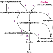 Phosphtidylcholine