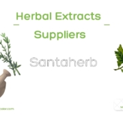 Herbal Extract Main Suppliers List