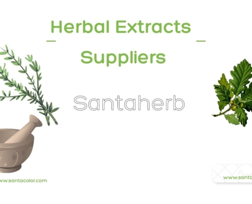 Herbal Extract Main Suppliers List