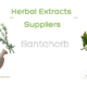 Herbal Extract Main Suppliers List